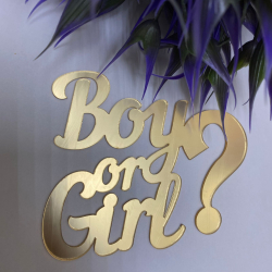 Изображение Мини топпер боковой BOY or GIRL, 7 см